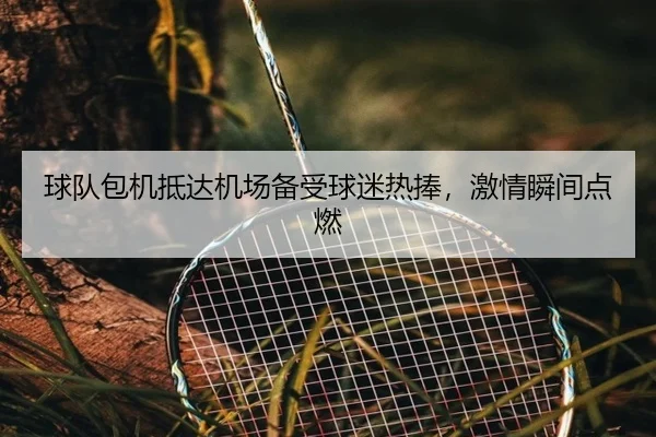 球队包机抵达机场备受球迷热捧，激情瞬间点燃